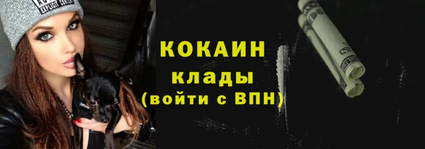 гидропоника Коряжма