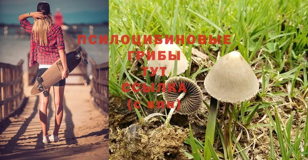 хмурый Костерёво