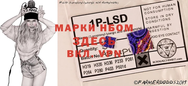 гидропоника Коряжма