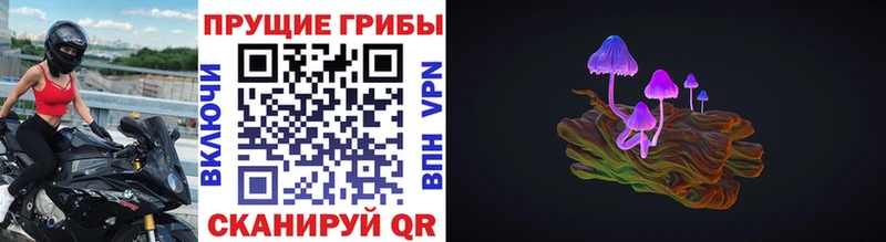 Купить закладки  Моршанск  Галлюциногенные грибы Cubensis 
